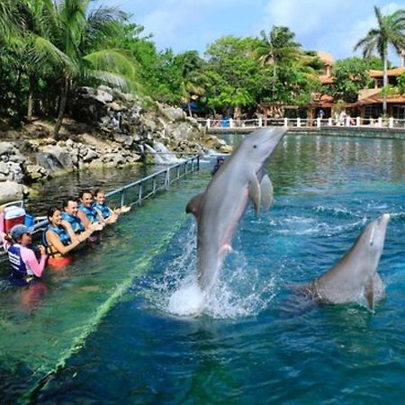 Increible Estudio En Puerto Aventuras, Condominio Con Alberca # 201 Екстер'єр фото